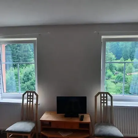 Apartman Korenov *